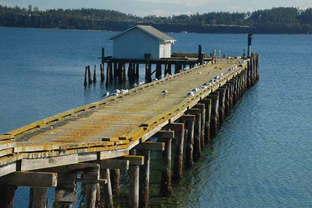 Penn Cove